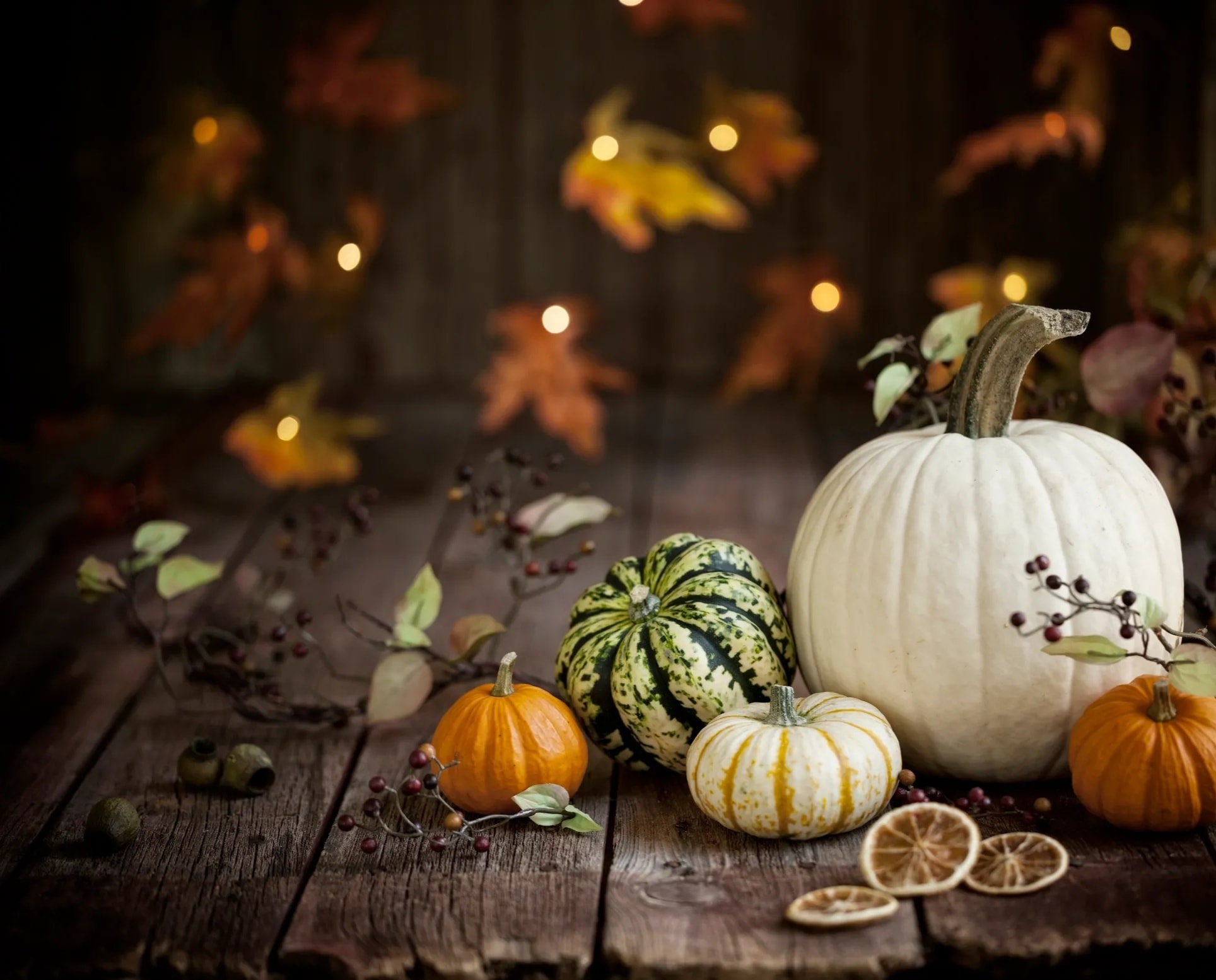 Thanksgiving season — Grateful & Warm